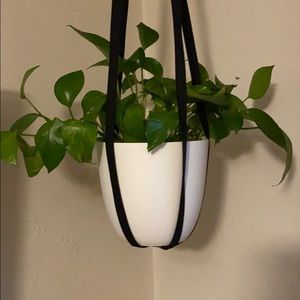 Plant Hangers